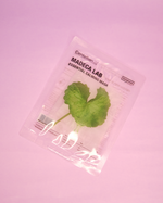 CENTELLIAN24+ Madeca Lab Essential Calming Mask